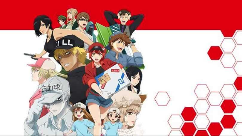 工作细胞安卓正式版