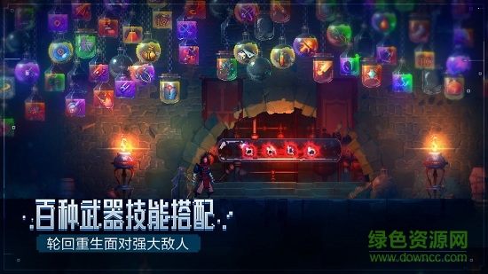 重生细胞 重生细胞