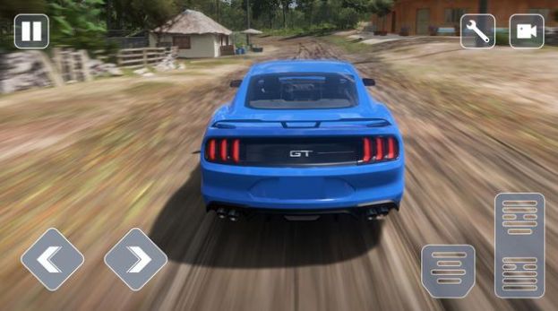 Mustang Ride Mustang Ride