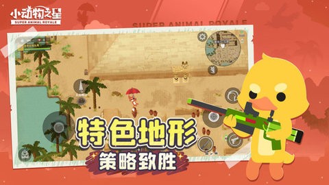 小动物之星 小动物之星