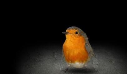 Mitoza游戏 Mitoza游戏