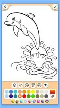 鱼和海豚 鱼和海豚