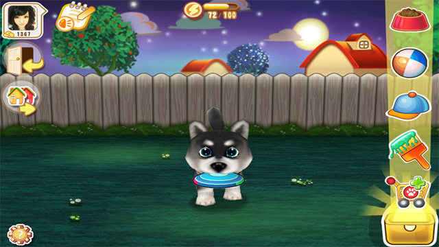 晴天小狗 晴天小狗