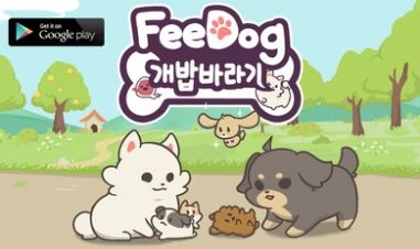 喂养小狗 喂养小狗