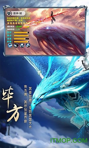 雪鹰领主传奇 雪鹰领主传奇