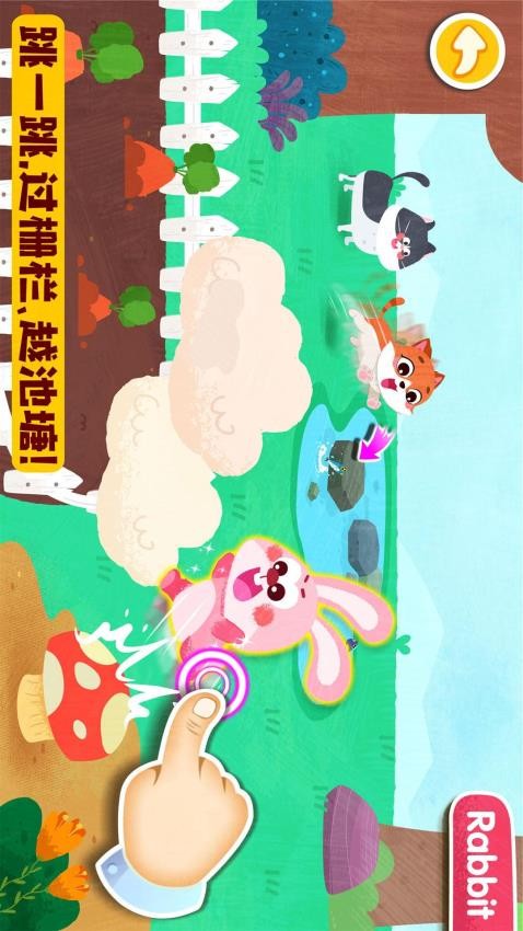 宝宝动物启蒙书最新版