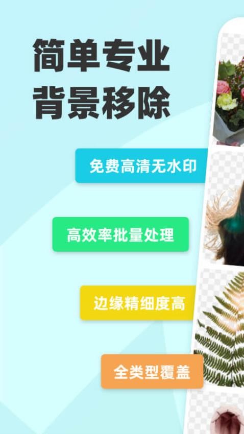 椰子设计最新版
