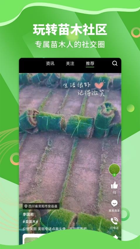 苗木通免费版