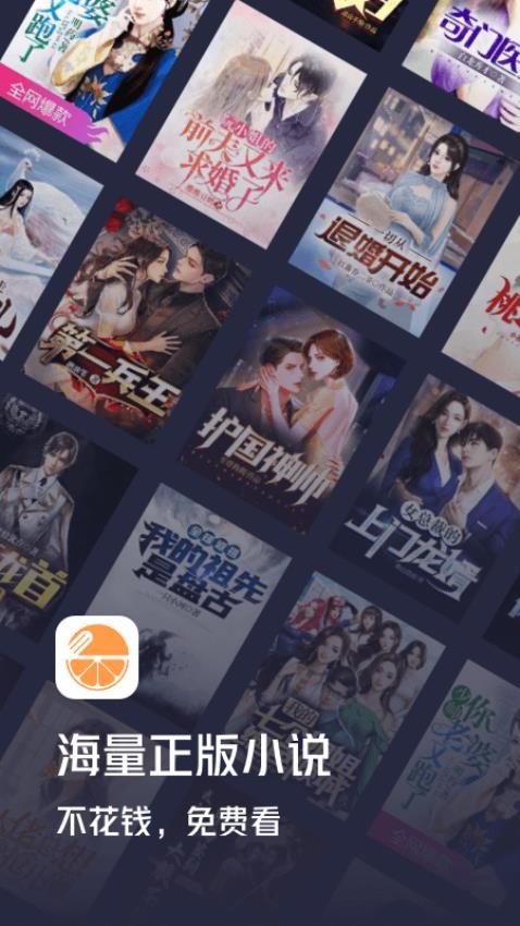 青橙小说免费版