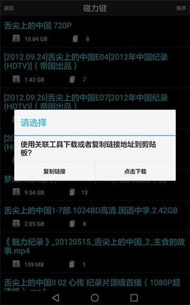 p2psearcher搜索神器安卓版