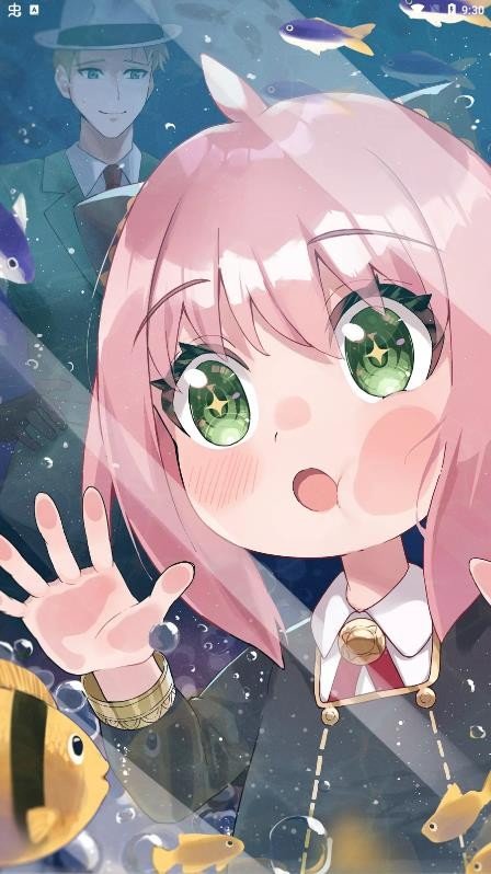 MiFun动漫去广告绿化精简版
