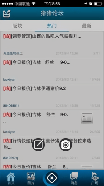猪猪论坛