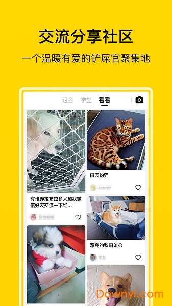 小绒宠物