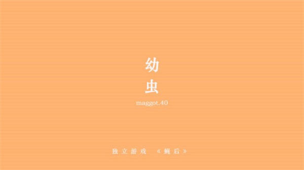 蝇后
