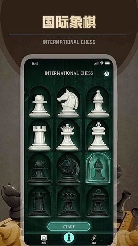 国际象棋
