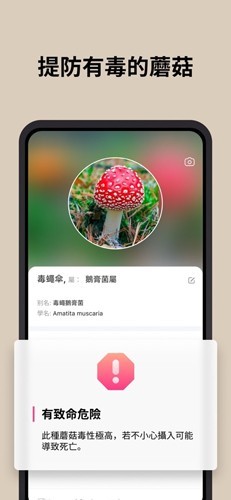 蘑菇识别扫一扫app 安卓版v2.9.31